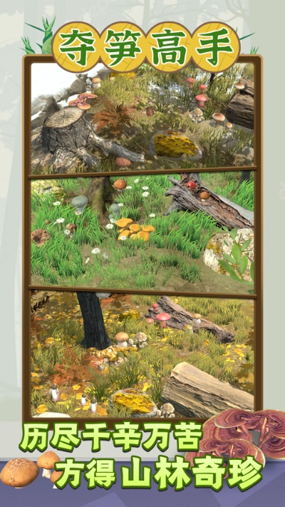 《夺笋高手何首乌人形秘境寻宝攻略》