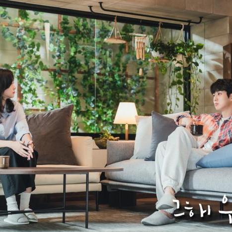 《剧情梗传第二关通关秘籍！独家攻略助你轻松过》