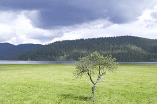 拂晓落霞枫影全攻略:高配打捞技巧揭秘 拂晓落霞枫影全攻略:高配打捞技巧揭秘