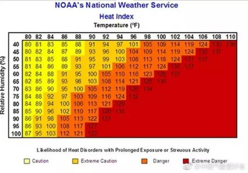 《大房东满意度飙升秘籍：高效提升攻略》