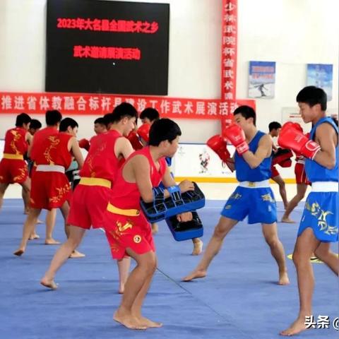 《武林巅峰！2023最新武术游戏排行TOP10》