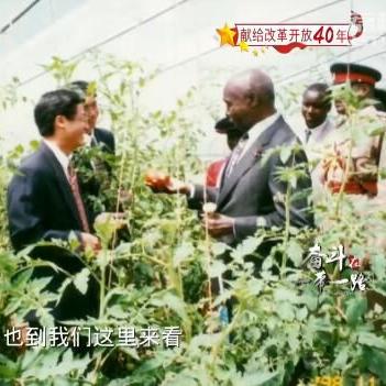 《直播田野守望者攻略:玩转游戏必备技巧一览》 《直播田野守望者攻略:玩转游戏必备技巧一览》