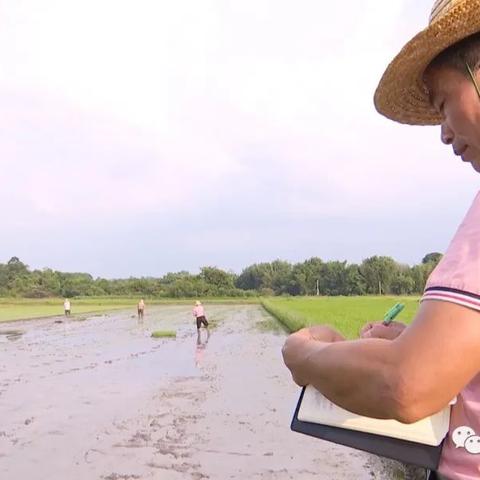 《直播田野守望者攻略:玩转游戏必备技巧一览》 《直播田野守望者攻略:玩转游戏必备技巧一览》