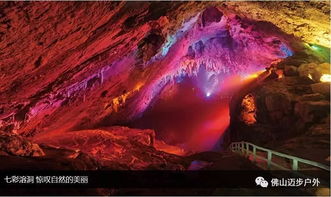 《探索自然奇境！盘点2023年度最受欢迎自然游戏》