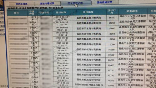 《热门排行！交通运输游戏十大人气王》