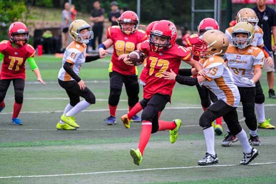 《十大必玩美式橄榄球游戏盘点：经典之作不容错过》