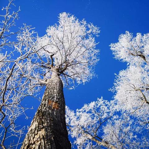狩猎游戏盘点:热门狩猎游戏推荐,畅享狩猎乐趣 狩猎游戏盘点:热门狩猎游戏推荐,畅享狩猎乐趣