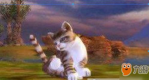 《黑沙手游：轻松解锁黑色瘦猫，独家攻略揭秘》