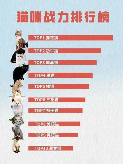 猫咪游戏盘点:十大耐玩猫游戏排行,趣味无限! 猫咪游戏盘点:十大耐玩猫游戏排行,趣味无限!