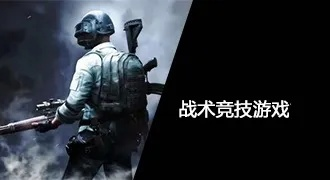 《十大热门耐玩战术竞技游戏，在线对战巅峰对决》