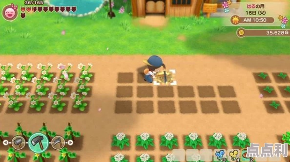 《小镇物语攻略:深度解析实用生存技巧》 《小镇物语攻略:深度解析实用生存技巧》