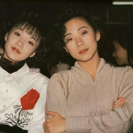 重返帝国红颜弓攻略：阵容搭配技巧全解析