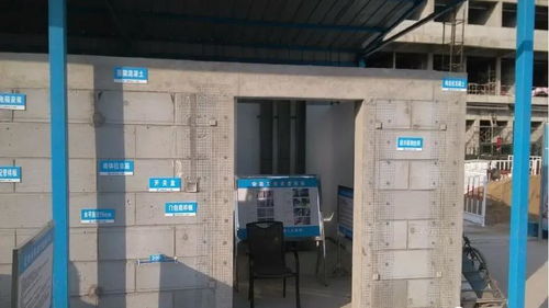 《弗德里希枪王技能攻略：最强阵容搭配揭秘》