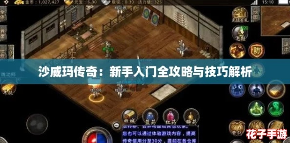 沙威玛传奇58天速通秘籍，轻松通关攻略！