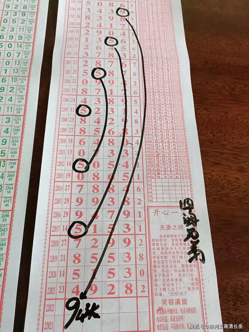 四海兄弟故乡奇遇记:盘点必收特色收集品清单 四海兄弟故乡奇遇记:盘点必收特色收集品清单