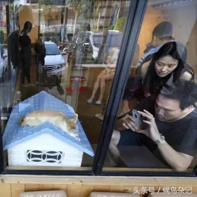 《浣熊不高兴:神秘特殊房间揭秘,玩法攻略大公开》 《浣熊不高兴:神秘特殊房间揭秘,玩法攻略大公开》