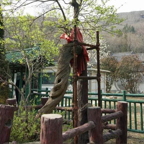 《大圣飞升H5》独家相约：体验经典取经之旅