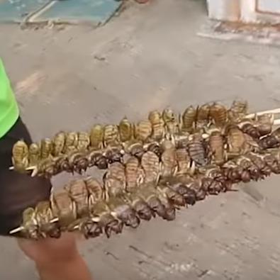 地下城起源新版本福利攻略大揭秘！