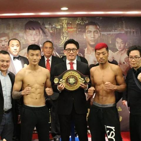 《拳击游戏盘点：十大热门拳击游戏，不容错过的精彩对决》