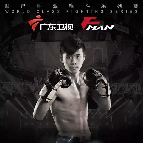 《拳击游戏盘点：十大热门拳击游戏，不容错过的精彩对决》