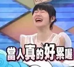 《盘点热门！笑到肚子疼的恶搞游戏大集合》