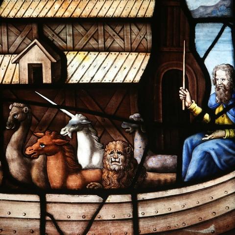 《诺亚之心混沌秘境通关秘籍！挑战副本轻松过》