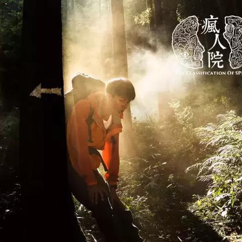 《热门角色自定义游戏盘点：下载排行TOP10》