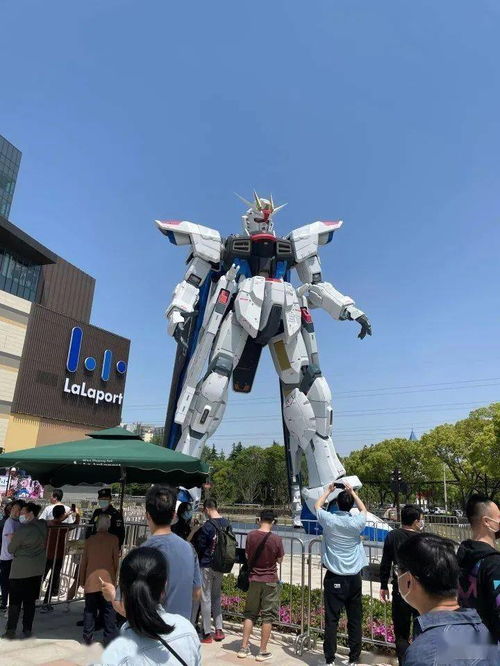 《5C紫心周回高效稳定攻略，轻松上分秘籍》