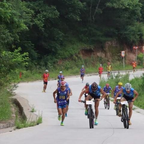 《热力榜单!盘点最火自行车游戏,必玩佳作推荐》 《热力榜单!盘点最火自行车游戏,必玩佳作推荐》