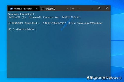 《低配也能畅玩！盘点热门低配置游戏推荐》