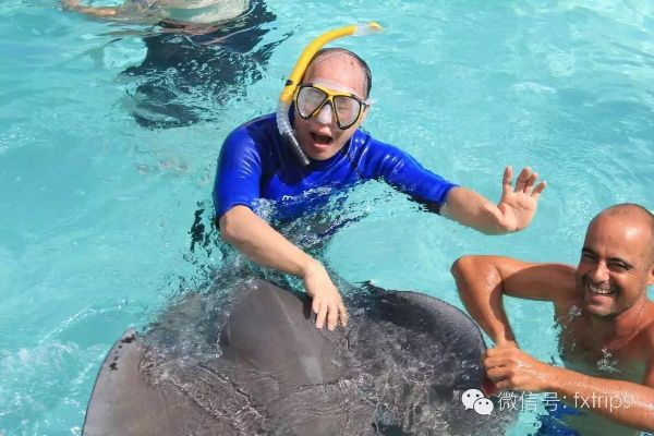 《水族箱健身狂欢：挑战鱼儿极限竞技》