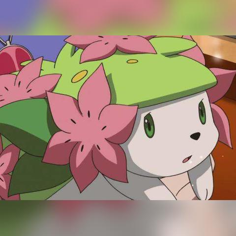 幻塔刺猬番茄食材攻略:高效获取秘籍大公开 幻塔刺猬番茄食材攻略:高效获取秘籍大公开