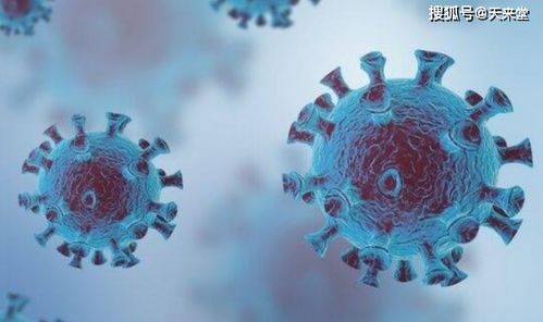 石油大亨专家模式攻略:高效通关秘籍大揭秘 石油大亨专家模式攻略:高效通关秘籍大揭秘