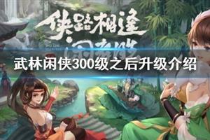 武林闲侠300级攻略:高效升级玩法揭秘 武林闲侠300级攻略:高效升级玩法揭秘