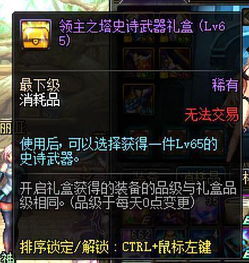 《冰法20-30级养成秘籍：地下城领主攻略全解析》