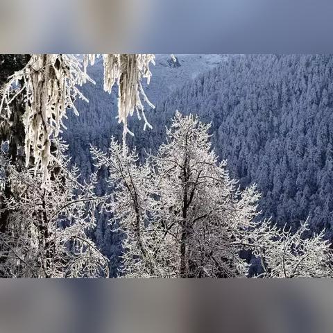 《光遇宴会节雪球获取攻略：快速解锁雪景球》