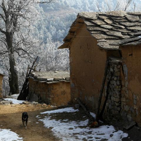 《幻塔石墙破碎技巧!高效打碎石头攻略》 《幻塔石墙破碎技巧!高效打碎石头攻略》