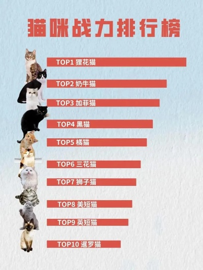 《热门下载!盘点最受欢迎的猫游戏排行》 《热门下载!盘点最受欢迎的猫游戏排行》