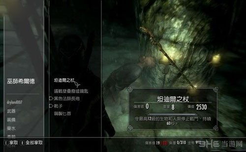 《阿迪尔技能解析：世界弹射物语角色强度排行》