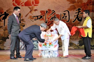 四海兄弟故乡战胜利瞬间：获胜团队最佳拍照攻略