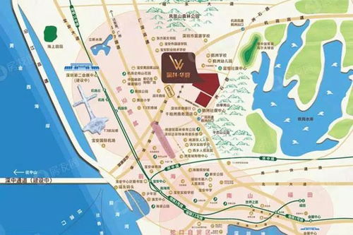 《泡姆泡姆各版本深度解析：版本差异大揭秘》