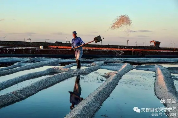 四海兄弟盐业探秘：揭秘故乡盐业拍照圣地