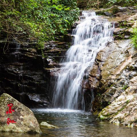 《别惹农夫》神龙皮肤解锁攻略：独家获取方法揭秘