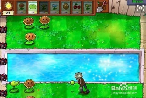 《农夫绿豆炮兵皮肤解锁攻略:豌豆射手独享秘籍》 《农夫绿豆炮兵皮肤解锁攻略:豌豆射手独享秘籍》