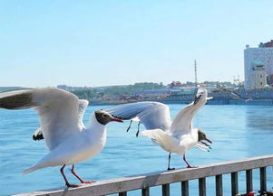 《肉鸽新秀!科隆展MOBA独游引关注》 《肉鸽新秀!科隆展MOBA独游引关注》