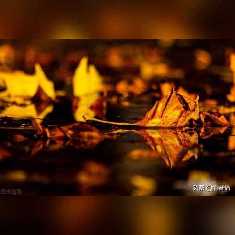 《热血航线青雉自行车获取攻略：独家秘籍大揭秘》