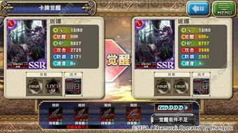 《苍之骑士团2技能升级攻略:高效提升技巧揭秘》 《苍之骑士团2技能升级攻略:高效提升技巧揭秘》