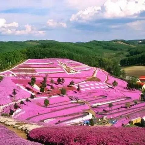 《地下城堡3魂之诗幻精油获取攻略：独家秘籍大揭秘》