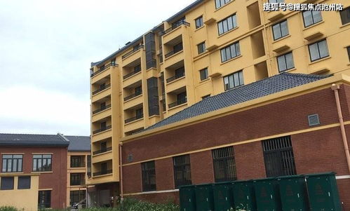 《2024独家推荐！不可思议迷宫游戏下载精选》