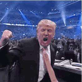 《2024年度必玩鸟游戏盘点：盘点最热门鸟游戏》